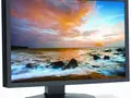 24-дюймовый монитор NEC MultiSync P242W с AH-IPS панелью
