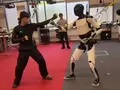 post_big/tesla-optimus-robot-kung-fu-learning-image.jpg