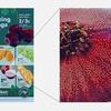 Схема алгоритму Color Imaging Algorithm