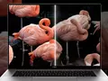 Huawei MateBook 16 – LCD экран, чипы Ryzen 5000, 16 ГБ ОЗУ и SSD на 512 ГБ по цене от €1 100