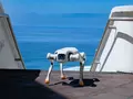 Faraday Future получила разрешение на продажу четвероногого робота FX Aegis в США