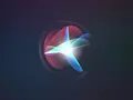 В iOS 14.5 Apple уберёт женский голос Siri по умолчанию
