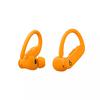 Powerbeats Pro 2 case colour