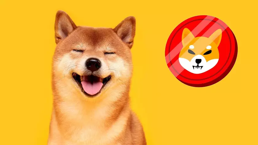 Сестра Марка Цукерберга призывает покупать криптовалюту Shiba Inu, которая подорожала на 90 000 000% с момента запуска