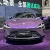 Миниатюра передового процесса окраски