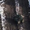 Unmanned ground vehicle in action