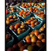 Preview of Google Pixel features