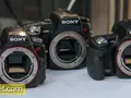 files/u1/2010/09/a33_a580_a55.jpg