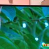 lg-oled55b8pla-06.jpg