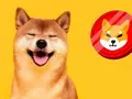 Шуточный токен Shiba Inu подорожал на 331% и попал в топ-20 криптовалют благодаря Илону Маску