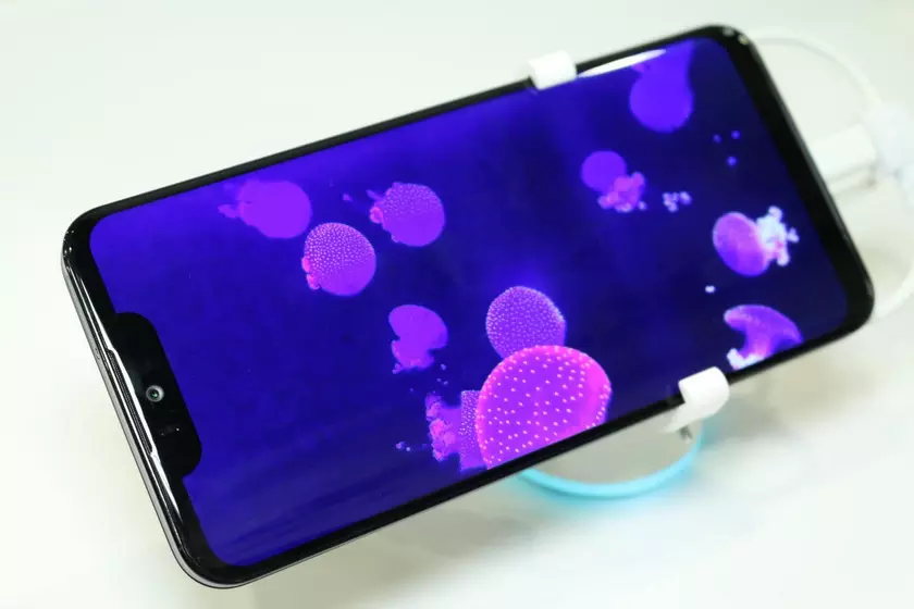 Sharp показала будущий флагман с OLED-дисплеем и «чёлкой» на IFA 2018