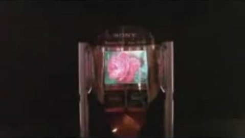 SonyFlexOLED_1.jpg