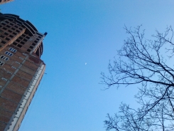 P0114_02-02-09.jpg