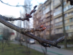 P1901_01__03-04-09.jpg