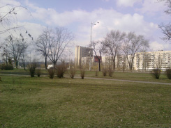 P130309_11_40.jpg