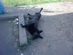 01062009048.jpg