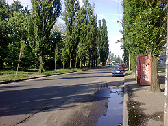 30052009045.jpg
