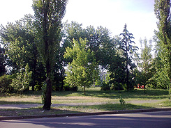 30052009047.jpg
