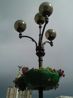 SNC00166.jpg