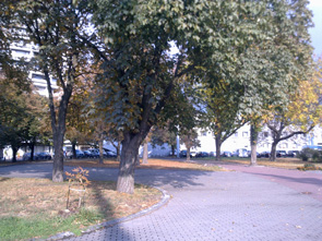 12102009016.jpg