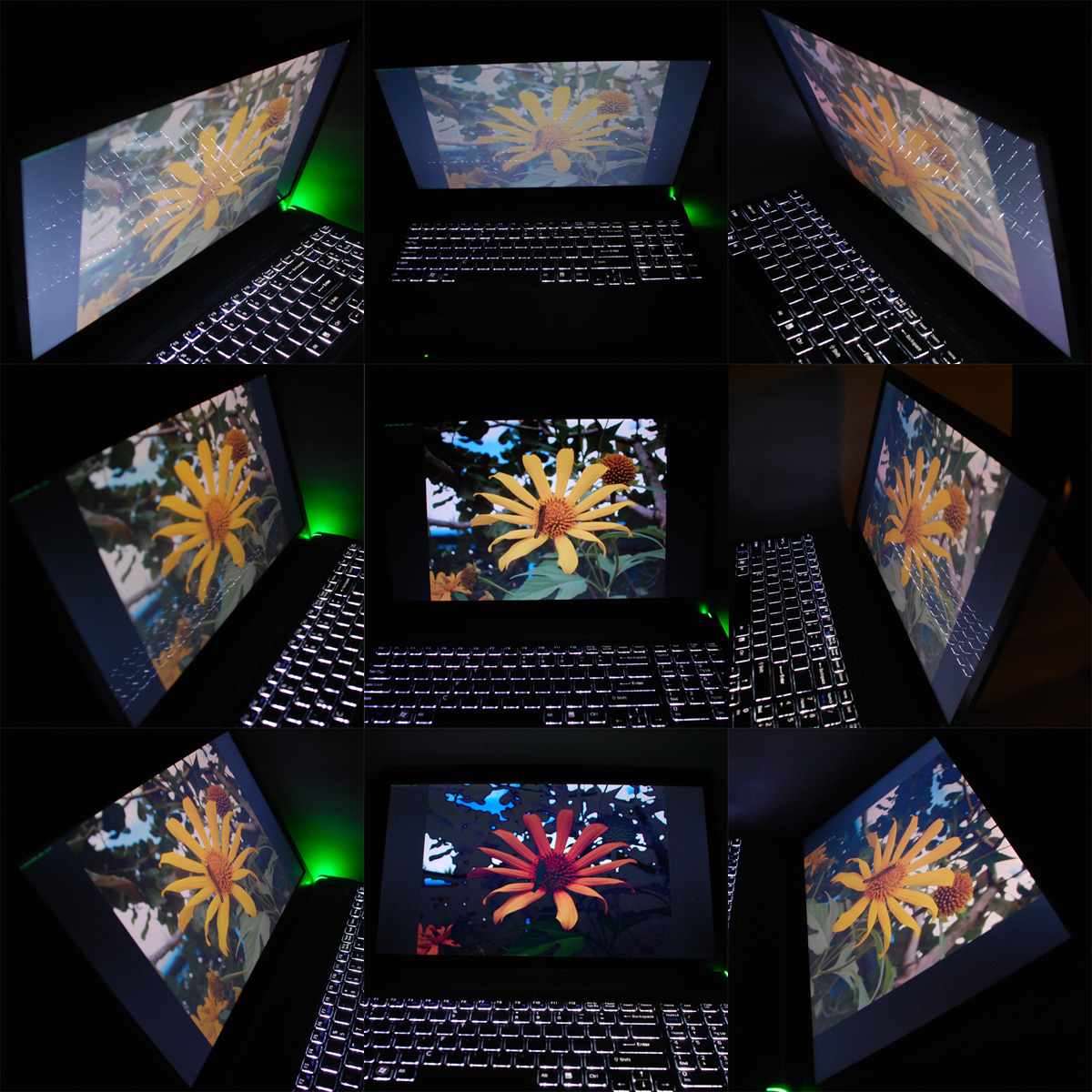 SonyVaioF_ScreenAngles.jpg