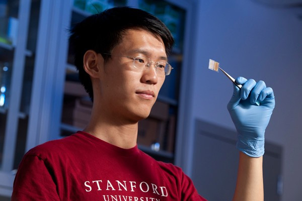 Stanford01.jpg