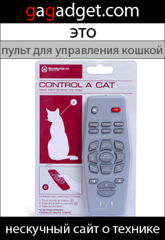 cat_240x350.jpg