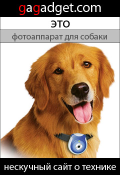 dog_240x350.jpg