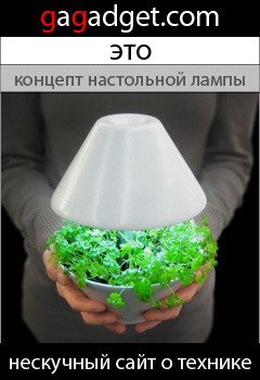 vase.jpg