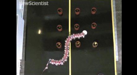 robotic-worm.jpg
