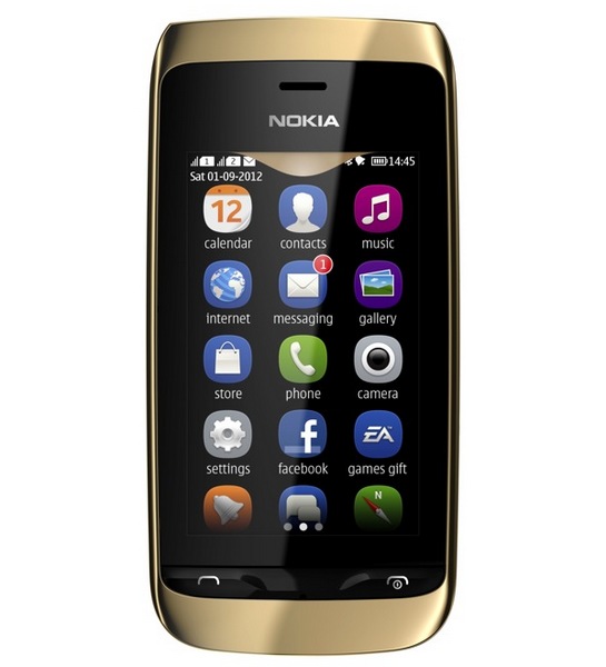 Nokia_Asha_308_3.jpg