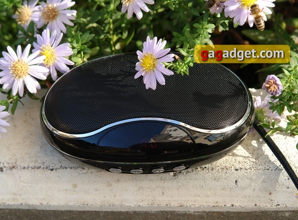 iconBIT_PSS930Bass__1_.jpg