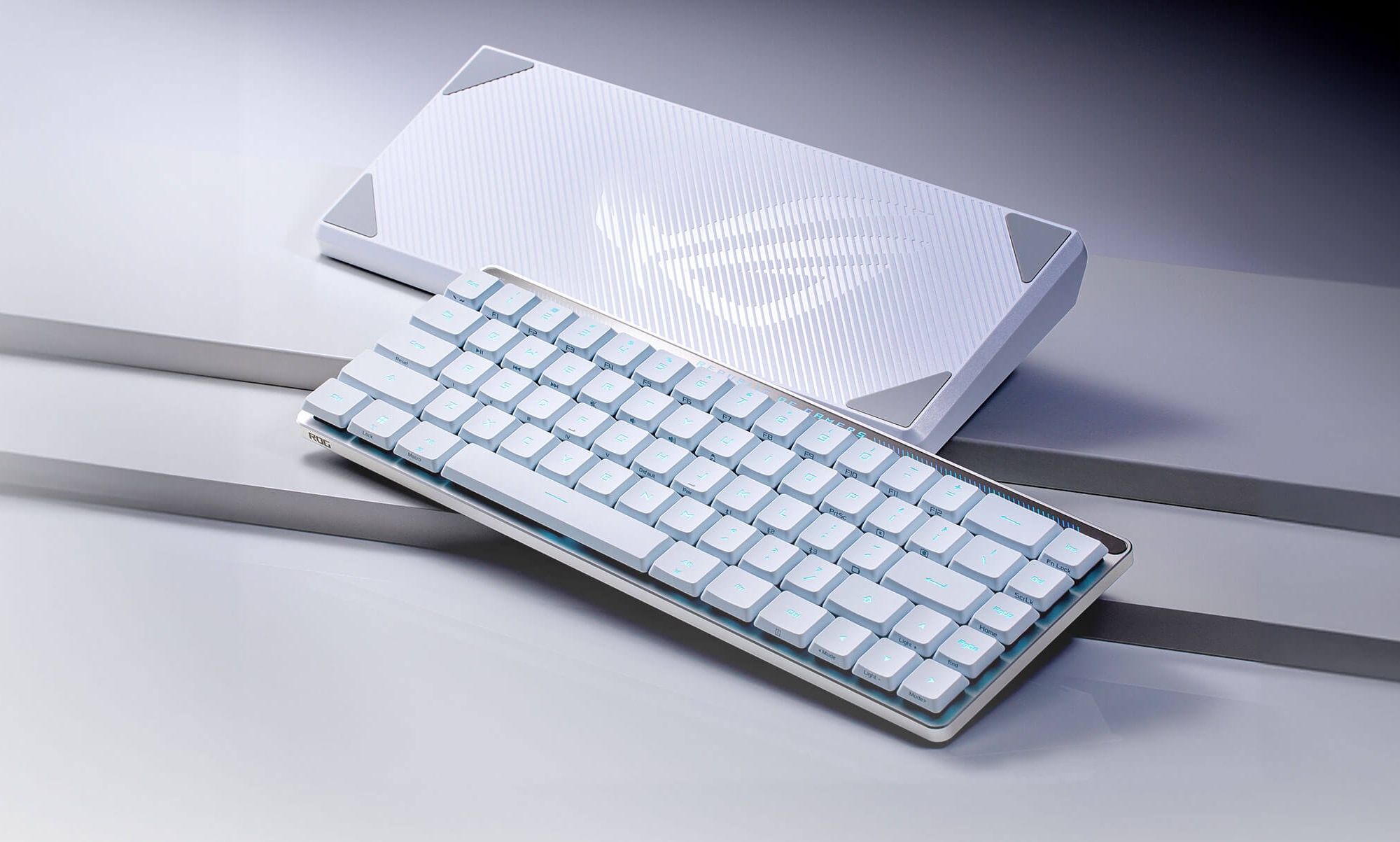 Le clavier de jeu ASUS ROG Falchion RX Low Profile arrive en Ukraine
