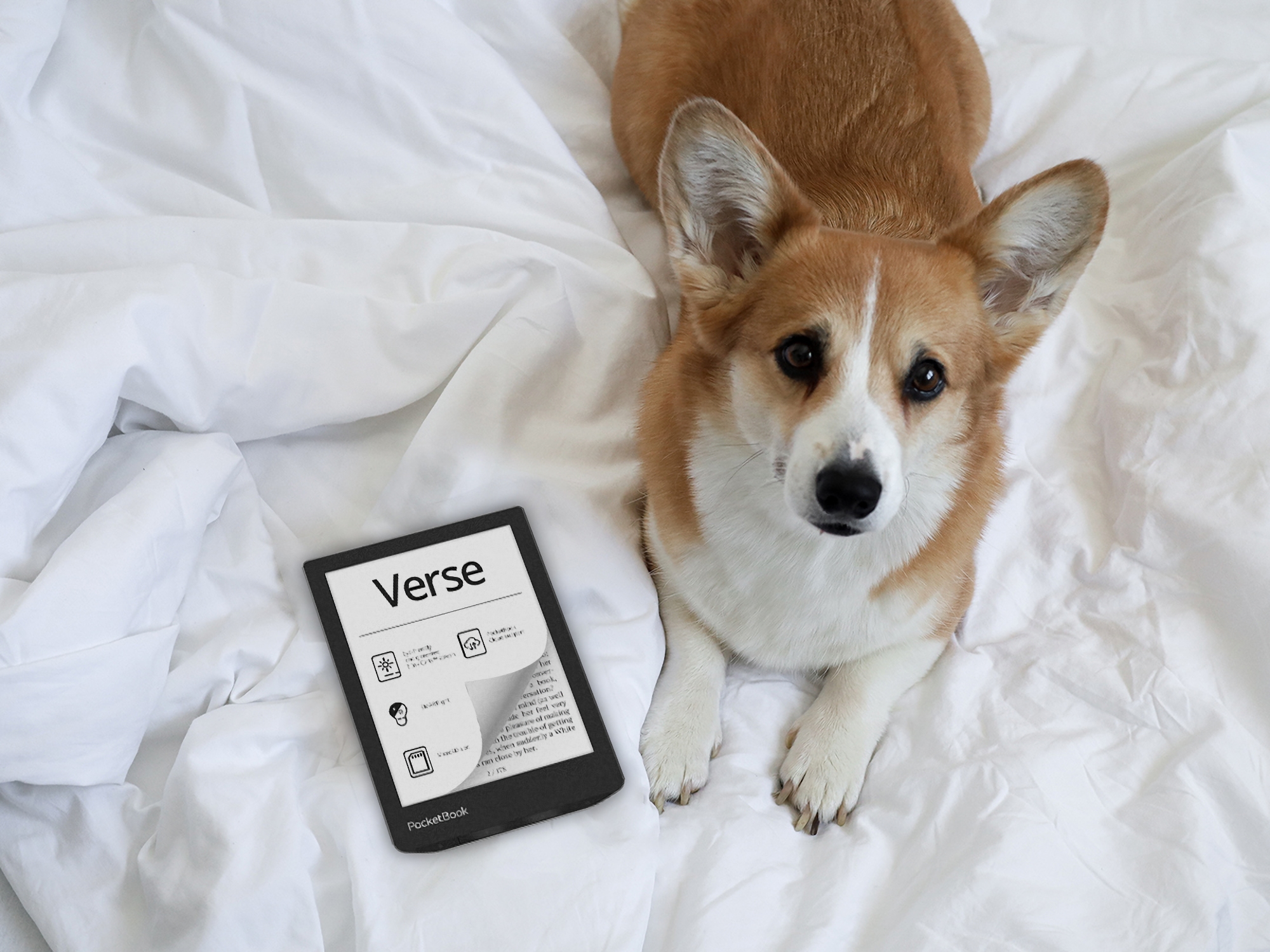 PocketBook Verse: 6-inch E Ink Carta display, memory card slot and SMARTlight backlighting