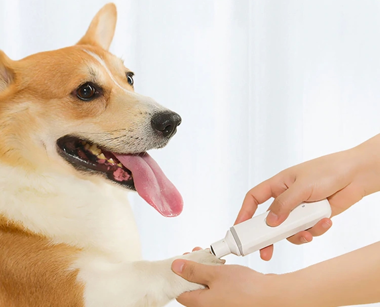 Xiaomi Pawbby Electric Nail Clippers: триммер для кігтів за $12