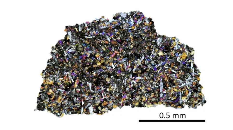 Traces of gases of terrestrial origin found in Moon meteorites from Antarctica