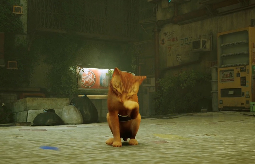 Désormais, le chat de Stray peut non seulement "miauler", mais aussi crier "JASON !"