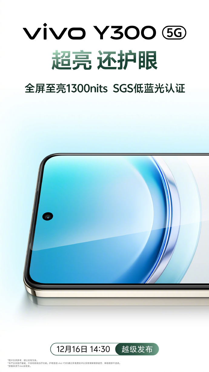 Design et écran du smartphone Vivo Y300