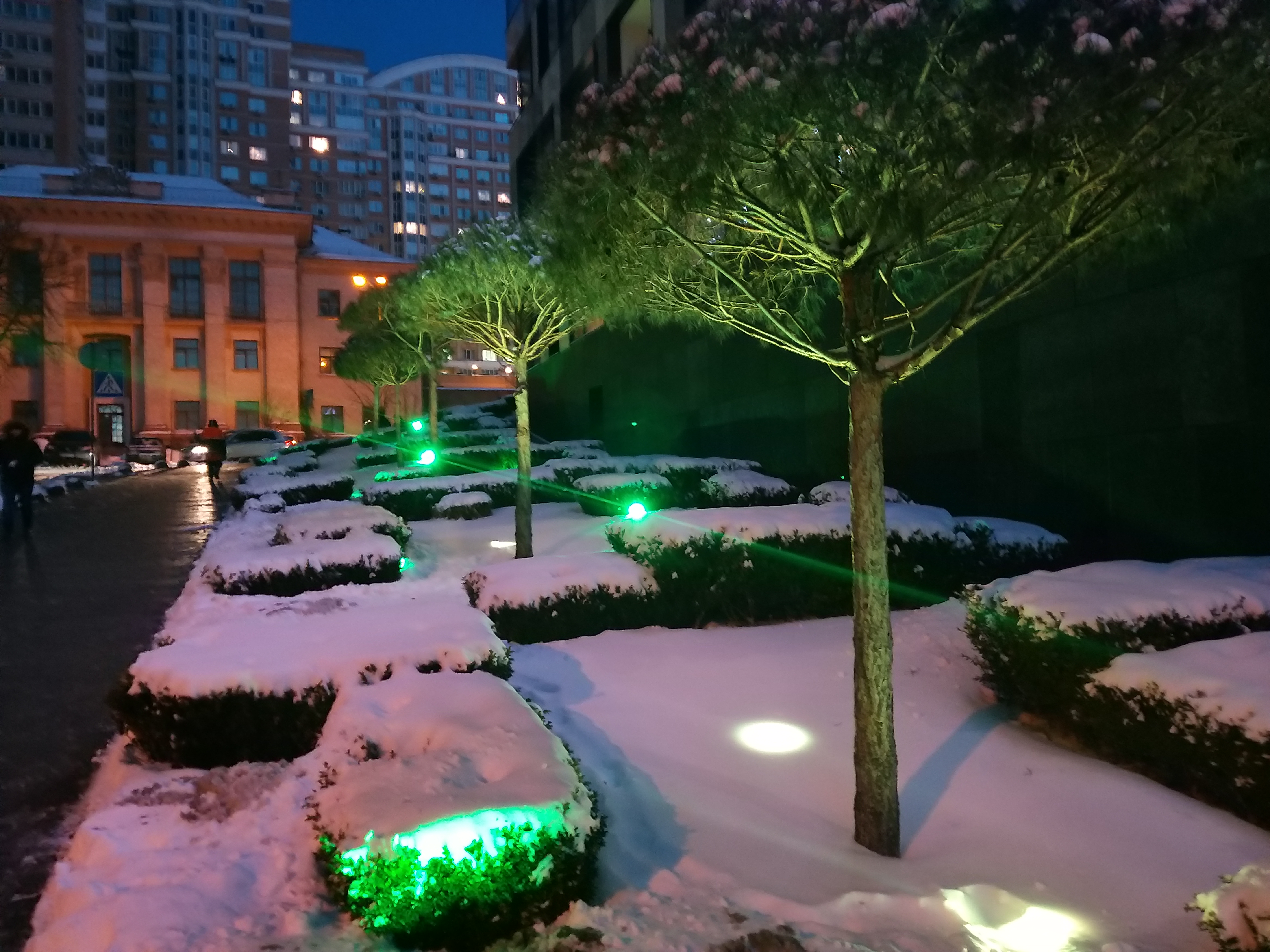 20190124_171307.jpg