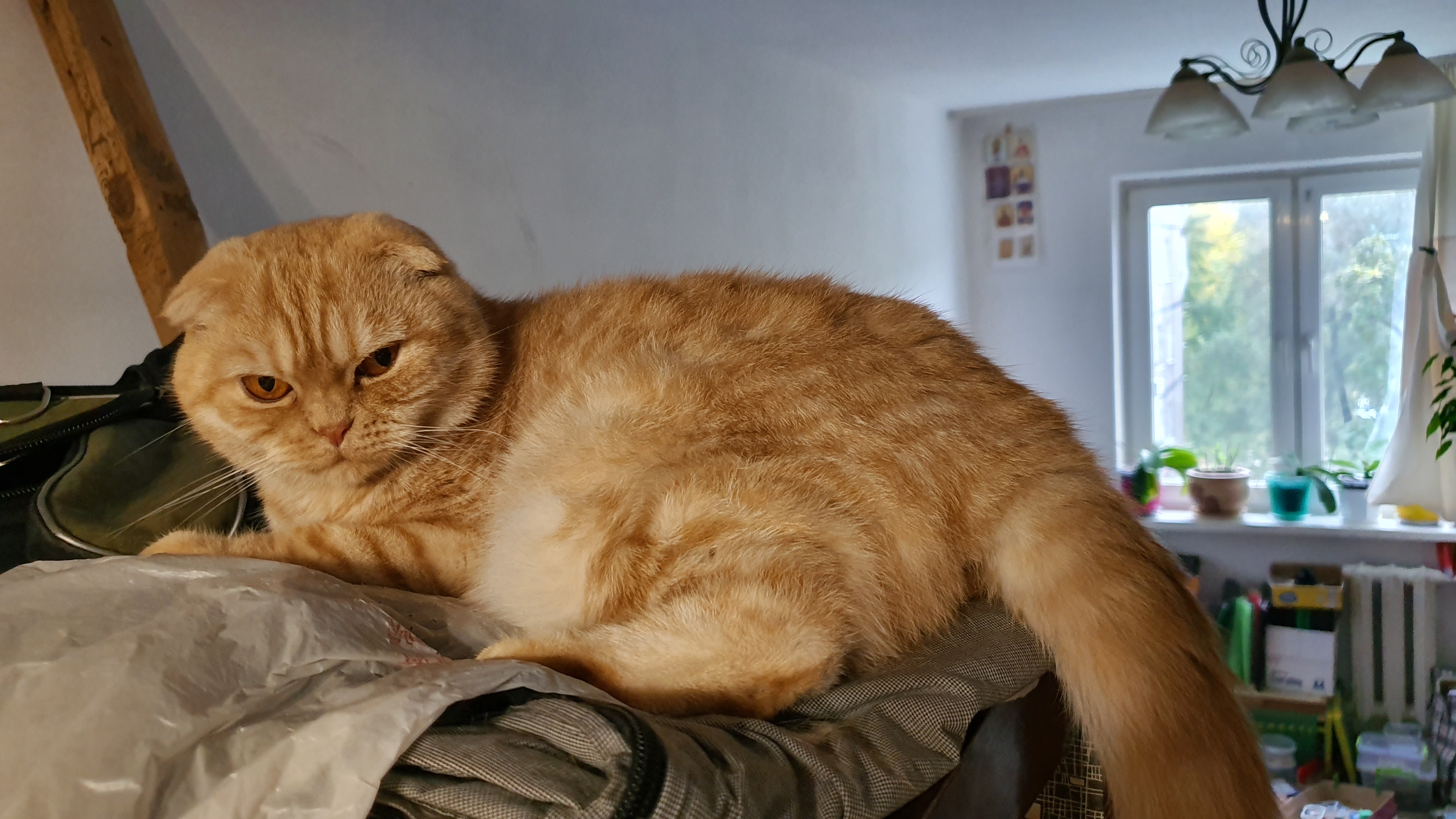 Обзор Samsung Galaxy Note10: всё тот же флагман, но поменьше-433