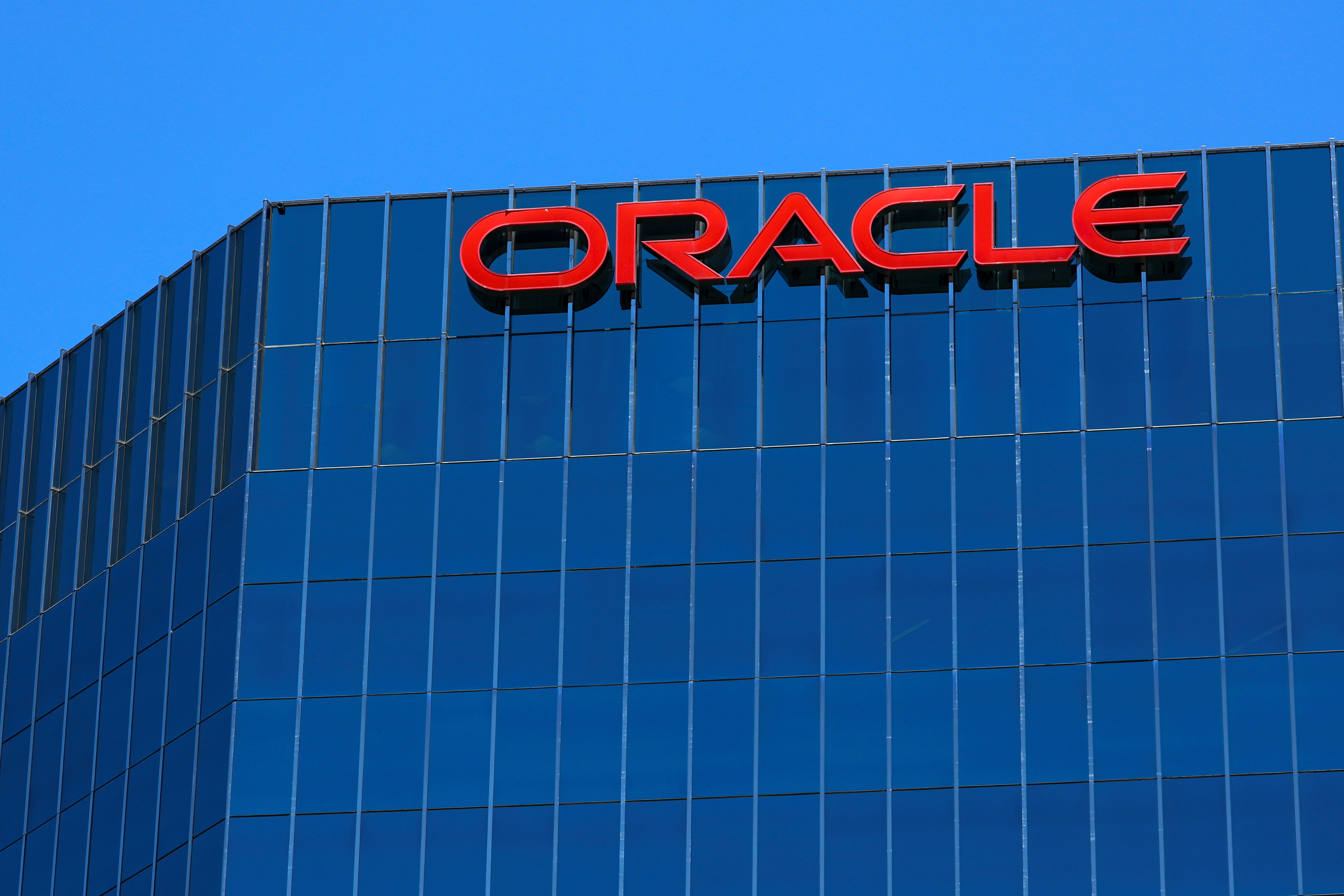 Oracle is an American corporation, a leading software developer and supplier of server hardware for organisations.