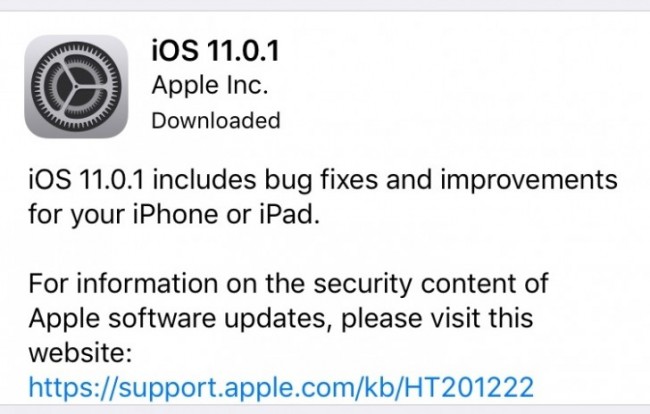 516641.jpg