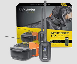 Обзор Dogtra Pathfinder TRX