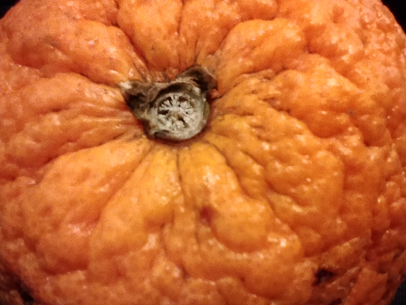 Обзор Oneplus Nord N100: смартфон, который выгодно купить на AliExpress-216