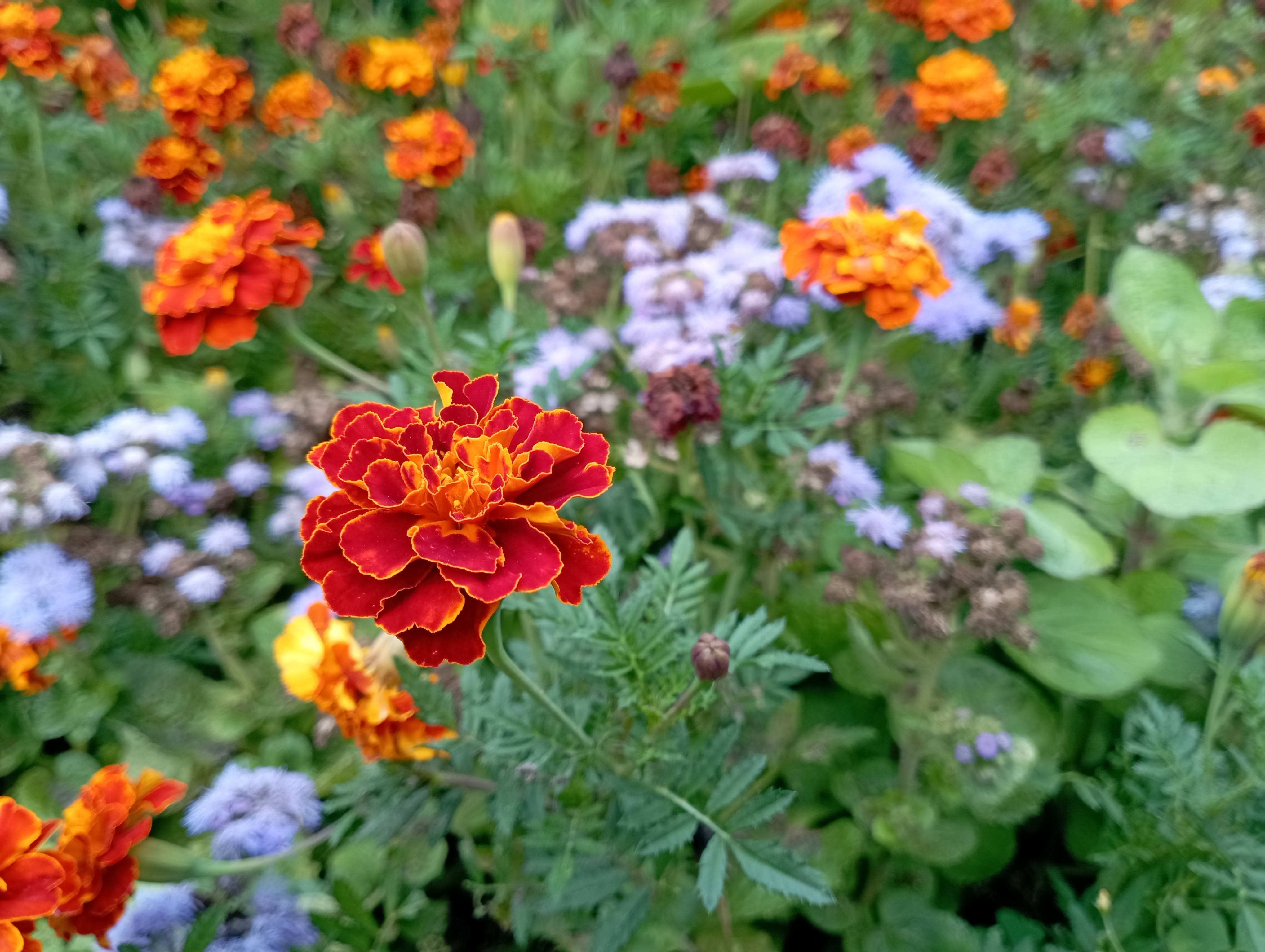 Огляд Xiaomi Redmi 10: легендарний бюджетник, тепер із 50-мегапіксельною камерою-188