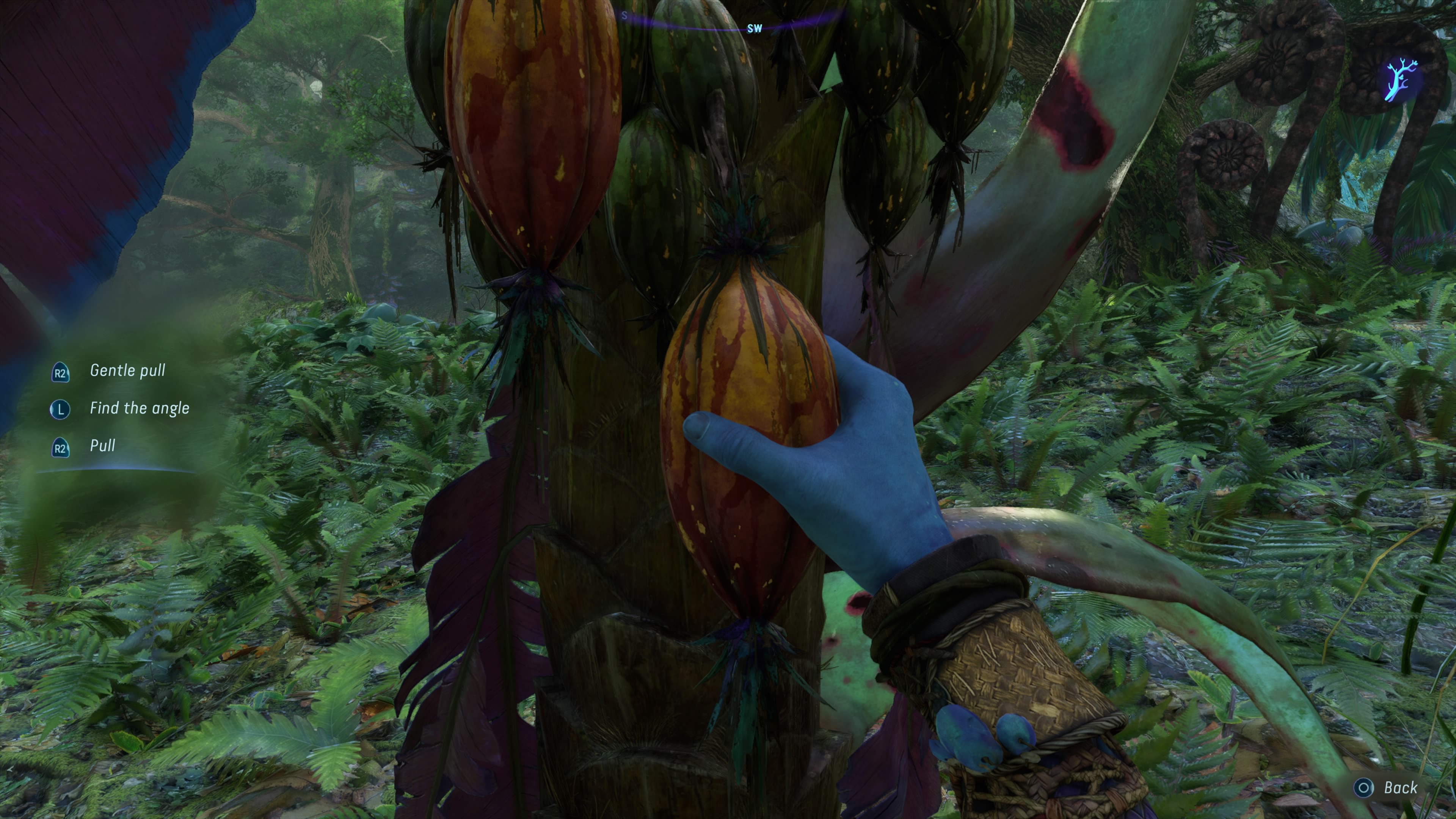 Огляд Avatar: Frontiers of Pandora
