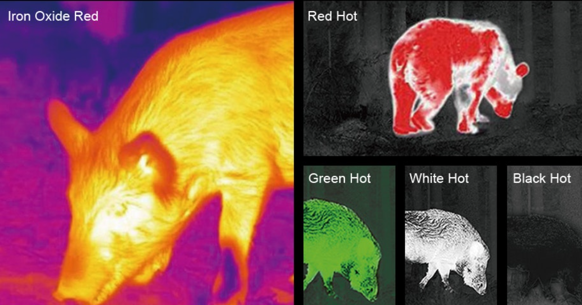 monoculaire thermique avis 2026