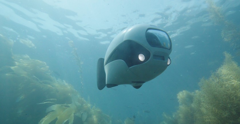 drone-biki-l.jpg