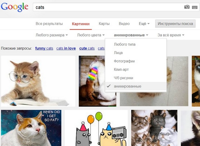 Google добавила поиск по анимированным GIF-картинкам
