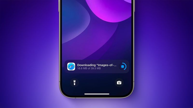 Safari Downloads on Lock Screen in iOS 18.2